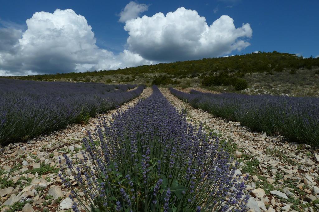 Gites Chameyer Rosans Exteriér fotografie